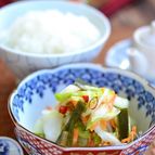 昆布と白菜の即席浅漬け【作りおき】