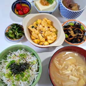 えびちゃんの作ってみた!投稿(【ひじきの煮物】ほっこり和おかず！お弁当や作り置きにも◎)