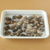 あさりの砂出し