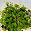 chachaの作ってみた!投稿(セロリ革命【セロリのやみつきナムル】お弁当、つまみに)