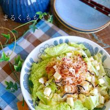 お箸がすすむ♪白菜と塩昆布の和風サラダ
