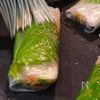 ライスペーパー餃子の工程5
