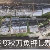 1/アラ還の手習いの作ってみた!投稿(秋の味覚!焼きサンマ寿司)