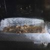 卵なし☆レンジで簡単☆チョコフルーツ蒸しパンの工程6