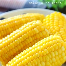 裏ワザで劇的プリプリ♪とうもろこしの茹で方