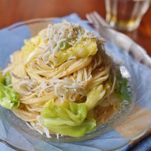 柚子胡椒が爽やか！キャベツとシラスのめんつゆ冷製パスタ