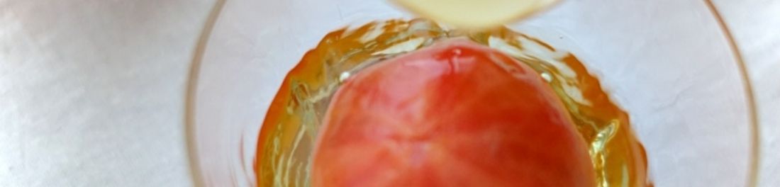【発酵調味料×旬野菜】健康と美肌ごはん