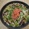楽ラク手抜キッチン🐶🐾の作ってみた!投稿(ほっこり優しい　明太えのきあんかけうどん)