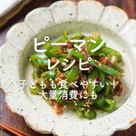 「ピーマン」レシピ50選|子どもも食べやすい!大量消費にも