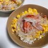 yの作ってみた!投稿(ふわとろ!うま塩天津飯【#簡単 #時短 #節約 #ランチ】)