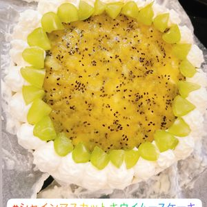 煌蓮mamの作ってみた!投稿(スポンジケーキ＊絶対失敗しない完全攻略法＃ワンボール)