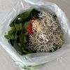 小松菜としらすの中華漬け♩ ポリ袋ひとつ!火も包丁も不要の工程2