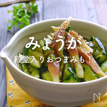 みょうが人気レシピ｜殿堂入りおつまみ、おかずに大量消費も！