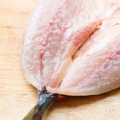アジのさばき方・おろし方-アジフライ用に背開きする方法