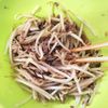レンジde簡単♪シャキッと美味しい♡【もやしの肉みそ塩昆布】の工程3