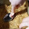【濃厚フロランタン】時短が叶う！の工程1