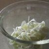 牡蠣と長ネギの、白い冬グラタン。の工程2