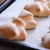 HBで作る 練乳*リボンパン*ふわふわ柔らかでほんのり甘い〜の工程8