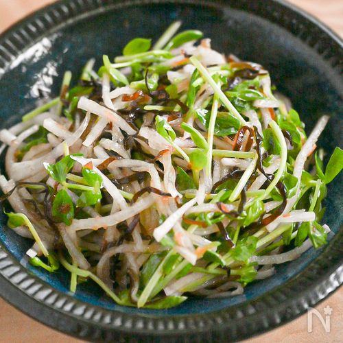 材料5つ！大根と豆苗の塩こんぶサラダ