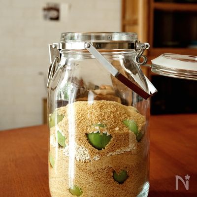 ただの梅シロップじゃない！美肌ドリンク【梅麹シロップ】