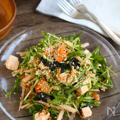 【切って混ぜるだけ♪】水菜と大根と豆腐のピリ辛サラダ