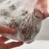 【ココアスノーボール】サクホロ止まらないの工程6