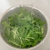 簡単副菜!【水菜とちくわの胡麻きなこあえ】の工程3
