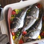 のっけて焼くだけ！鯵のオーブン焼き