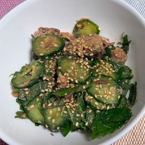 ゆっこの作ってみた!投稿(【サバ缶ときゅうりのさっぱり旨だれ和え】栄養満点◎5分副菜♪)