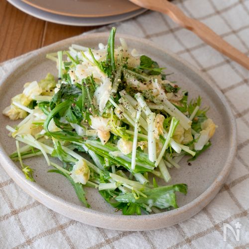 【レンジで簡単】パクパク食べられる!水菜とキャベツマヨサラダ