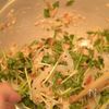 【蓮根と豆苗の梅サラダ】シャキシャキさっぱりおつまみの工程4
