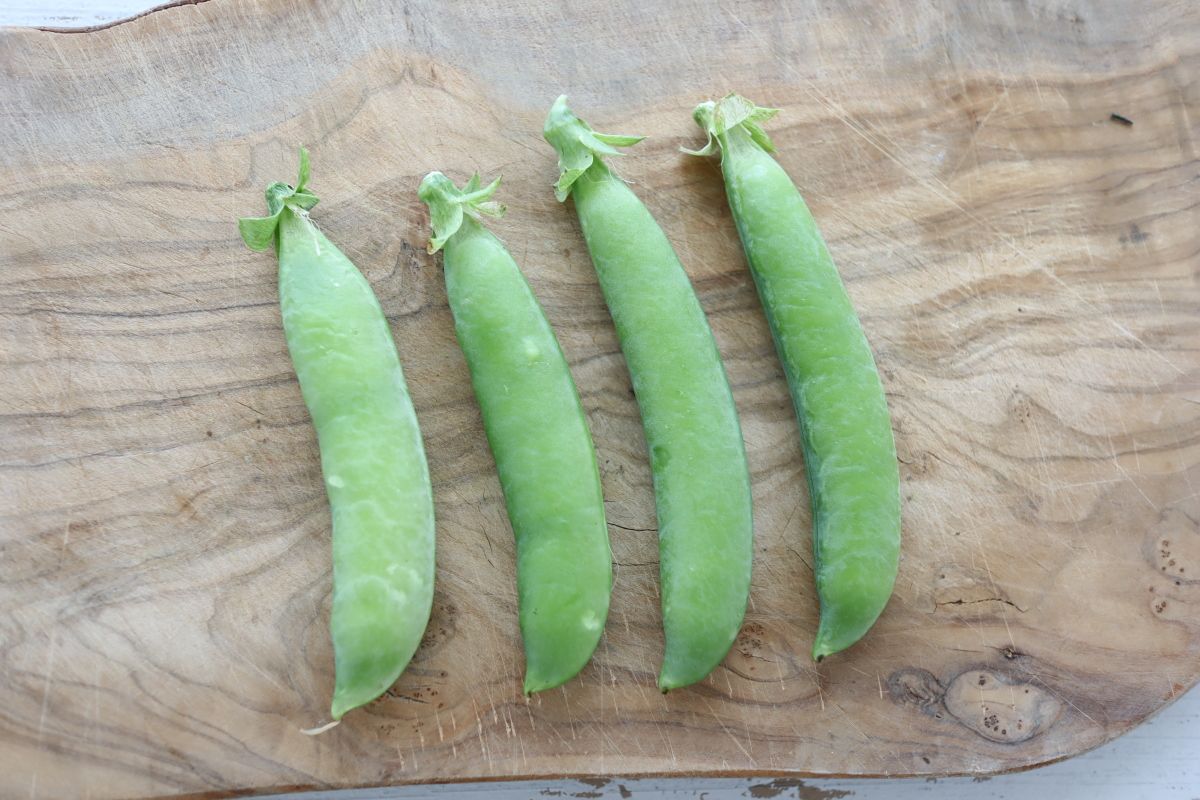 うすいえんどう6kg 【公式通販】