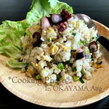 ☆ネギたっぷりの蛸炒飯☆