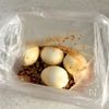 韓国風やみつき味玉の工程2