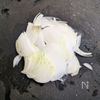 旨辛コチュ鯖スタミナそうめん│10分でコク旨！鯖缶で時短の下準備