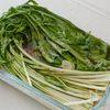【漬けるだけ10分】無限に食べられる！水菜の中華風さっぱり漬の工程2