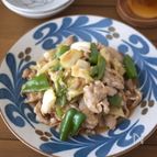 野菜がたっぷり！ごはんのおかず 豚肉のしょうが焼き風
