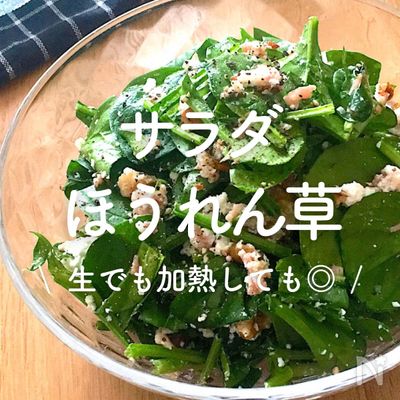 「サラダほうれん草」レシピ30選｜生でも加熱しても◎