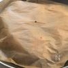 照りてり♪味しみ【鶏手羽元のコクうま煮】の工程4