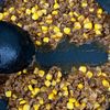 子どもも大好き『とうもろこしカレー』の工程3
