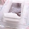 ラムレーズンチョコテリーヌ　混ぜて焼くだけの工程6