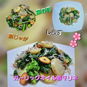 サトちゃんの作ってみた!投稿(菜の花・新じゃが・しらすガーリックオイル春マリネ)