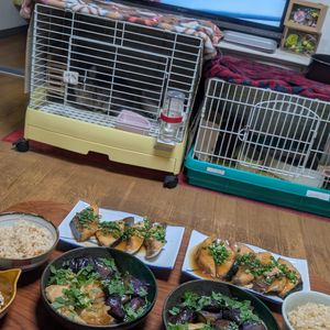 花月雨音🪷の作ってみた!投稿(パサつかない！ふっくら美味しい！ぶりの煮つけ)