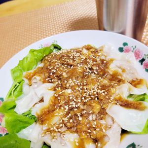 ヴェルの作ってみた!投稿(［ネギだくワンタン］10分でできる！ズボラ料理！家族爆食い)