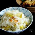 ねぎご飯