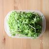 レンジで5分!【無限豆苗ナムル】胡麻油香るやみつきの味♩の工程1