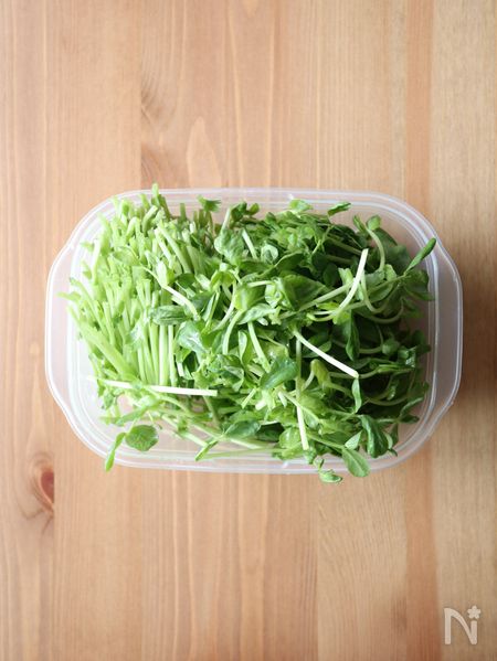 豆苗を電子レンジで加熱する