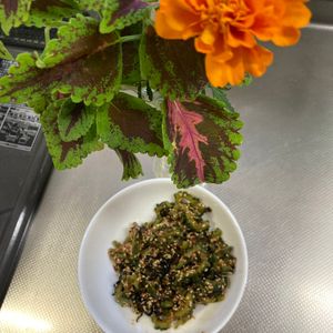 そら・ゆずの作ってみた!投稿(ゴーヤの食べ収め【レンチンゴーヤの大人の佃煮】)