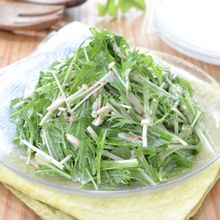 夏バテ撃退！シャキ水菜とえのきの梅マヨサラダ