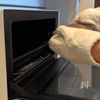 材料4つ！【米粉のココアスポンジケーキ】の工程5